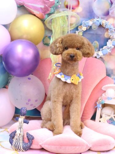 20240825まめちゃん